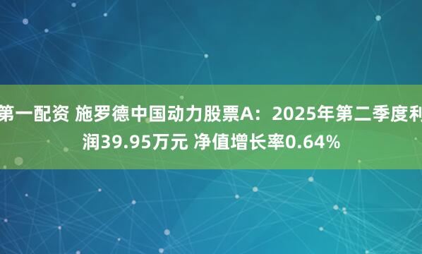 第一配资 施罗德中国动力股票A：2025年第二季度利润39.95万元 净值增长率0.64%