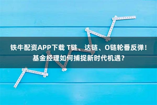 铁牛配资APP下载 T链、达链、O链轮番反弹！基金经理如何捕捉新时代机遇？